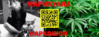 стаф Будённовск