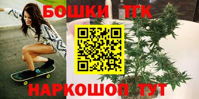 стаф Будённовск